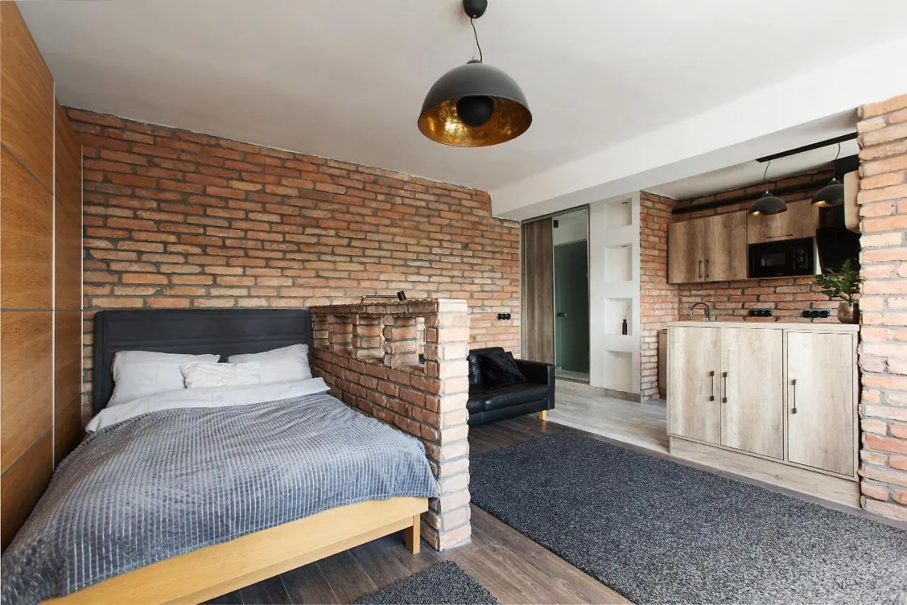 Industrial Studio Apartment Budapest Hungary
