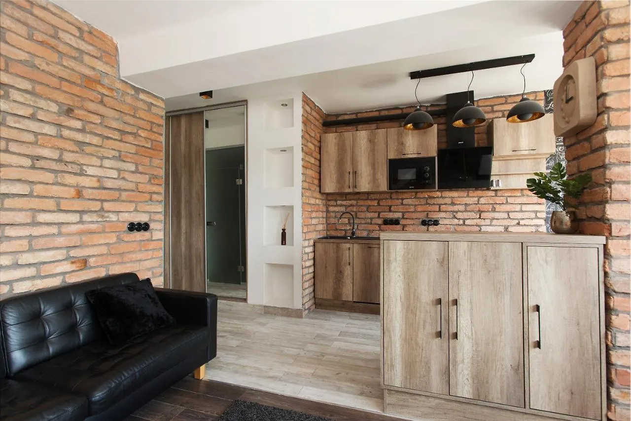 Industrial Studio Apartment Budapest